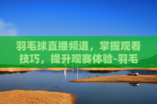 羽毛球直播频道，掌握观看技巧，提升观赛体验-羽毛球世锦赛直播频道
