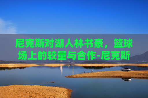 尼克斯对湖人林书豪，篮球场上的较量与合作-尼克斯vs蓝网林书豪