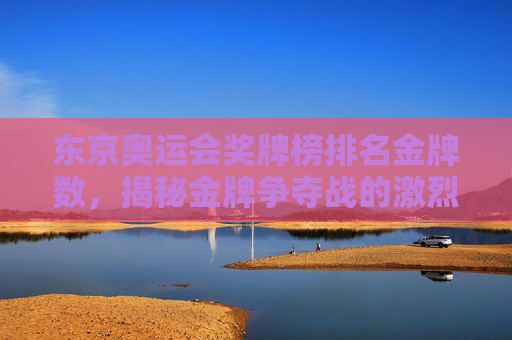东京奥运会奖牌榜排名金牌数，揭秘金牌争夺战的激烈竞争-东京奥运会奖牌榜一览表