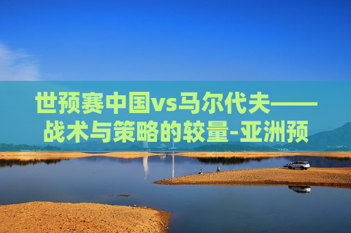 世预赛中国vs马尔代夫——战术与策略的较量-亚洲预选中国vs马尔代夫