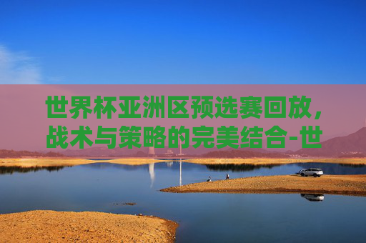 世界杯亚洲区预选赛回放，战术与策略的完美结合-世界杯亚洲区预选赛回放中国VS日本