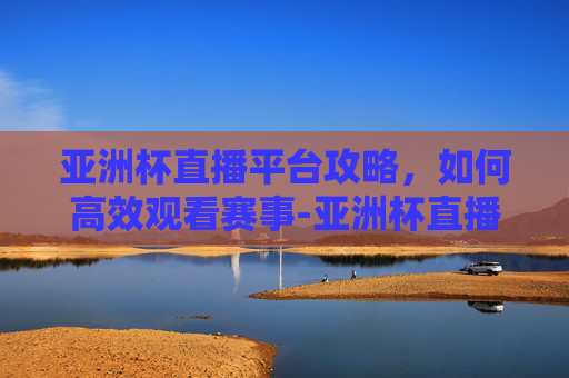亚洲杯直播平台攻略，如何高效观看赛事-亚洲杯直播平台优酷