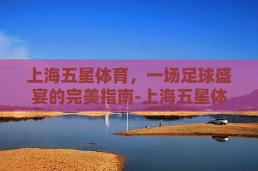 上海五星体育，一场足球盛宴的完美指南-上海五星体育直播