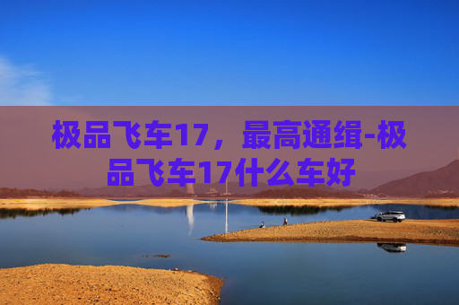 极品飞车17，最高通缉-极品飞车17什么车好