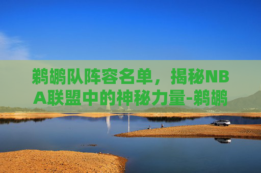鹈鹕队阵容名单，揭秘NBA联盟中的神秘力量-鹈鹕队阵容名单锡安