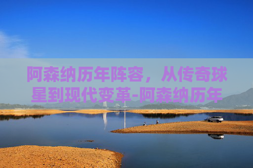 阿森纳历年阵容，从传奇球星到现代变革-阿森纳历年阵容2003