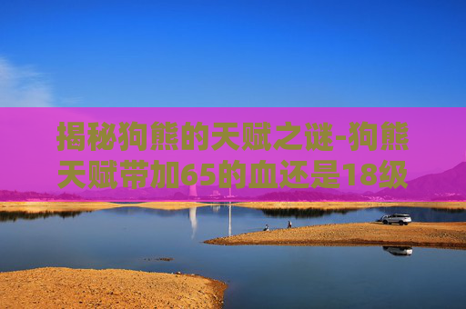 揭秘狗熊的天赋之谜-狗熊天赋带加65的血还是18级180