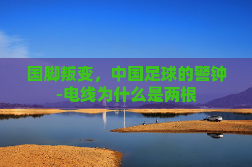国脚叛变，中国足球的警钟-电线为什么是两根