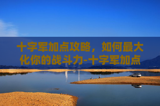 十字军加点攻略，如何最大化你的战斗力-十字军加点图