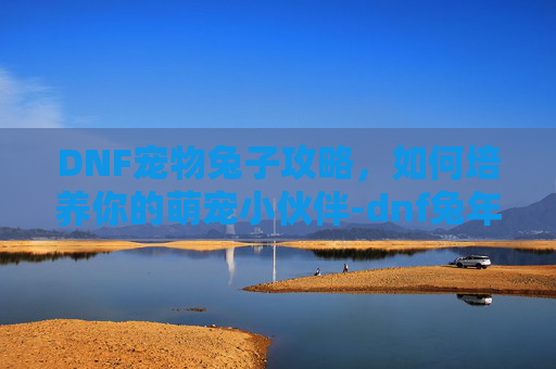 DNF宠物兔子攻略，如何培养你的萌宠小伙伴-dnf兔年宠物礼盒