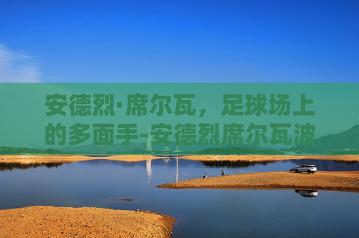 安德烈·席尔瓦，足球场上的多面手-安德烈席尔瓦波尔图