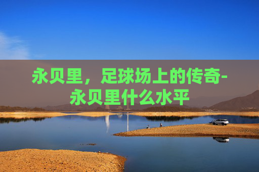 永贝里，足球场上的传奇-永贝里什么水平