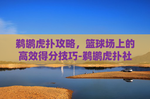 鹈鹕虎扑攻略，篮球场上的高效得分技巧-鹈鹕虎扑社区论坛