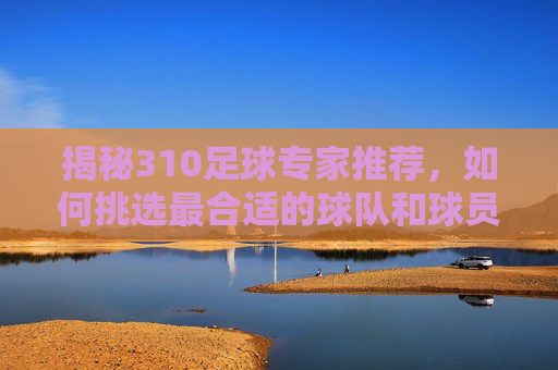 揭秘310足球专家推荐，如何挑选最合适的球队和球员-310足球专家推荐14