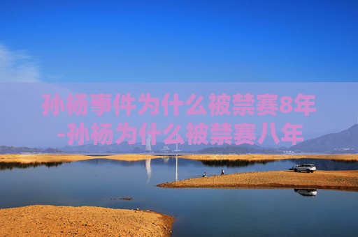 孙杨事件为什么被禁赛8年-孙杨为什么被禁赛八年