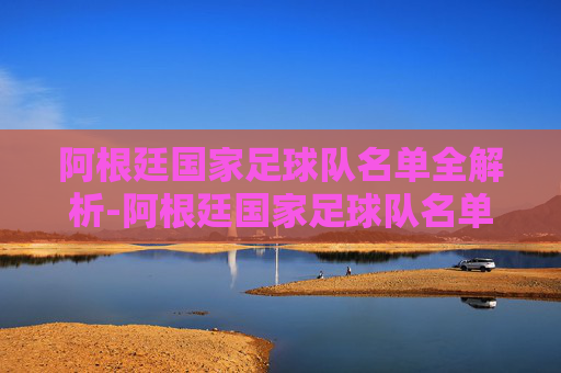 阿根廷国家足球队名单全解析-阿根廷国家足球队名单公布最新