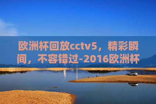 欧洲杯回放cctv5，精彩瞬间，不容错过-2016欧洲杯回放