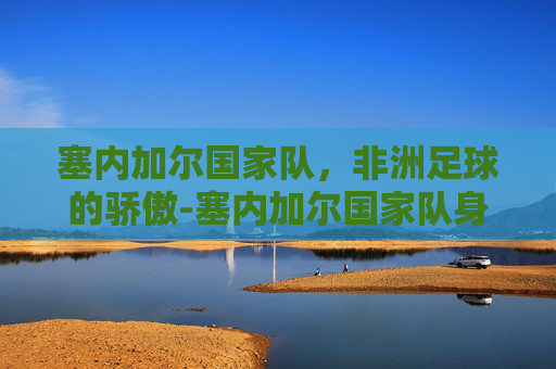 塞内加尔国家队，非洲足球的骄傲-塞内加尔国家队身价