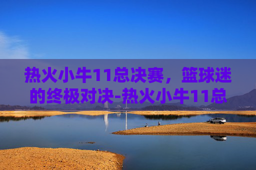 热火小牛11总决赛，篮球迷的终极对决-热火小牛11总决赛回放