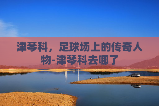 津琴科，足球场上的传奇人物-津琴科去哪了