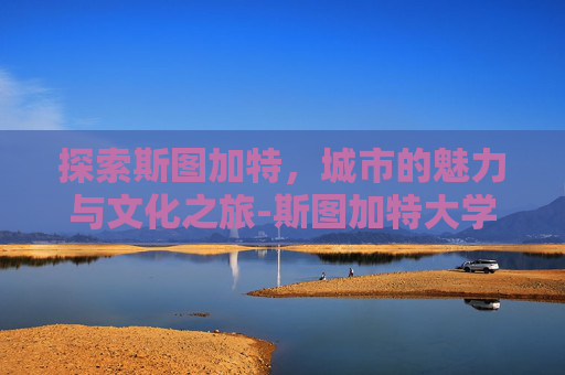 探索斯图加特，城市的魅力与文化之旅-斯图加特大学