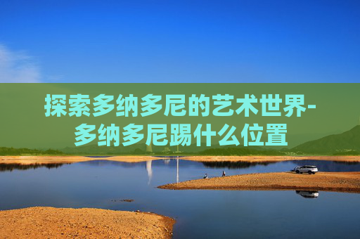 探索多纳多尼的艺术世界-多纳多尼踢什么位置