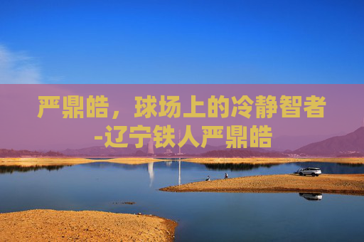 严鼎皓，球场上的冷静智者-辽宁铁人严鼎皓