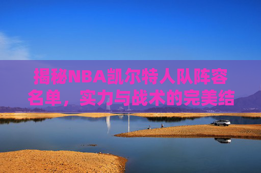 揭秘NBA凯尔特人队阵容名单，实力与战术的完美结合-NBA凯尔特人阵容