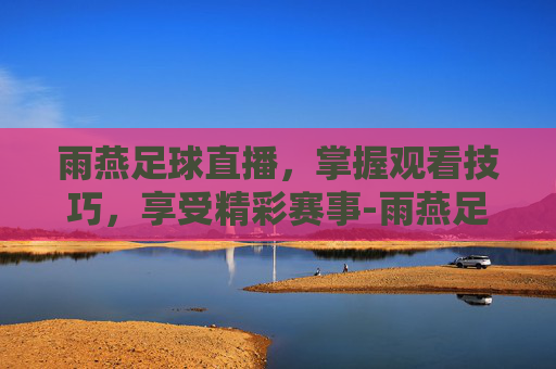 雨燕足球直播，掌握观看技巧，享受精彩赛事-雨燕足球直播体育直播