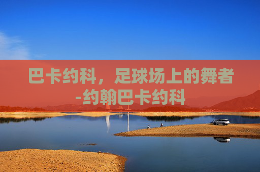 巴卡约科，足球场上的舞者-约翰巴卡约科