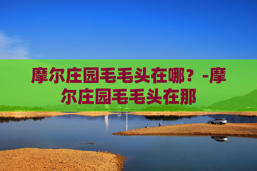 摩尔庄园毛毛头在哪？-摩尔庄园毛毛头在那