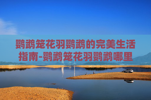 鹦鹉笼花羽鹦鹉的完美生活指南-鹦鹉笼花羽鹦鹉哪里掉落